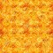 Fabric QT Tangerine Honeycomb Buzz Buzz Buzz by the Quarter Yard 31705-O